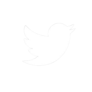 twitter-icon